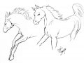 cs-real-horsies-sketch-sm.jpg